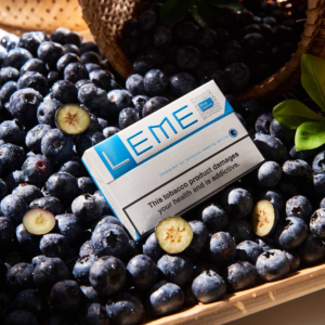 1710139584519 樂美